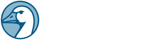 Memket - Ardahan Kulübü Memket - Ardahan Kulübü